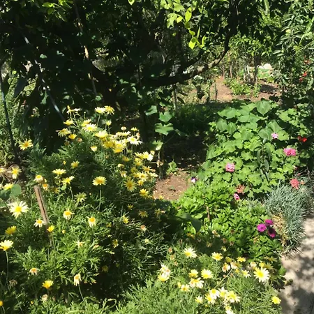 Dabelic Pensionat Polače