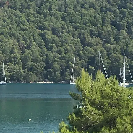 Gostinjska kuća Dabelic