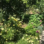 Dabelic Gostinjska kuća Polace